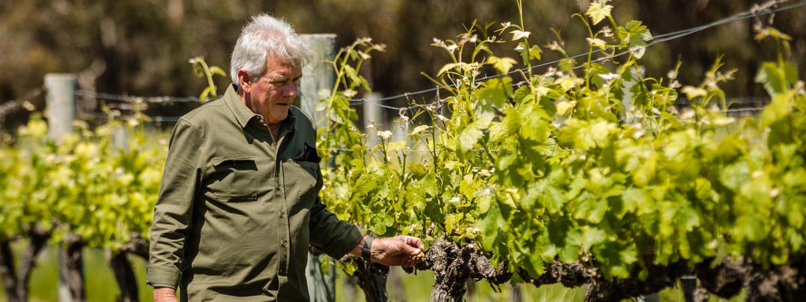 Where it all began...