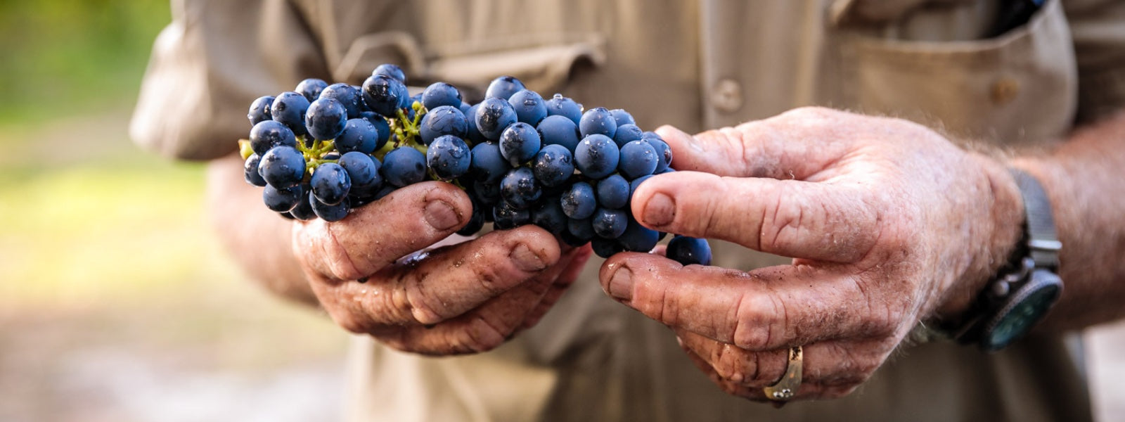 Every Little Step...